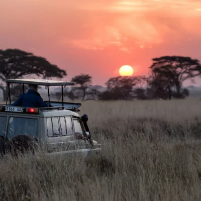 6-Day Tanzania Safari: Ngorongoro Crater & Serengeti Highlights